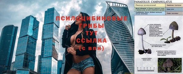 кокаин колумбия Белокуриха