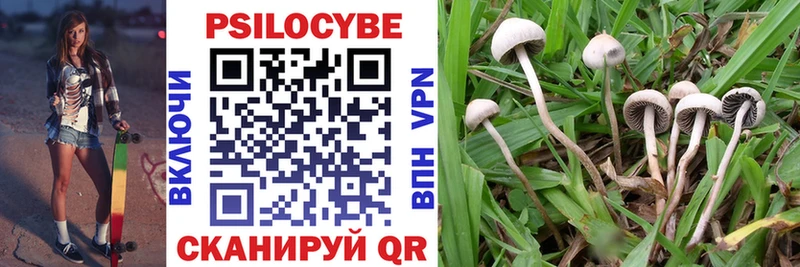 Псилоцибиновые грибы мицелий  продажа наркотиков  Бузулук 